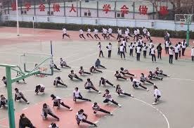 沪媒谈海港亚冠失利：并非不用心，伤病影响是无奈的现实